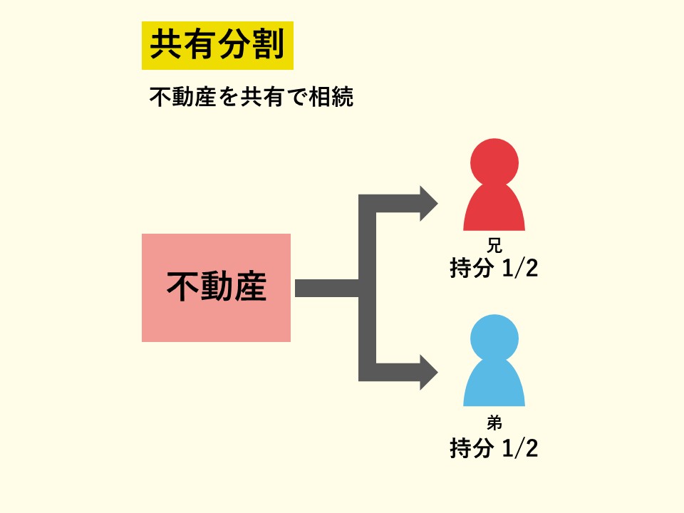 共有分割